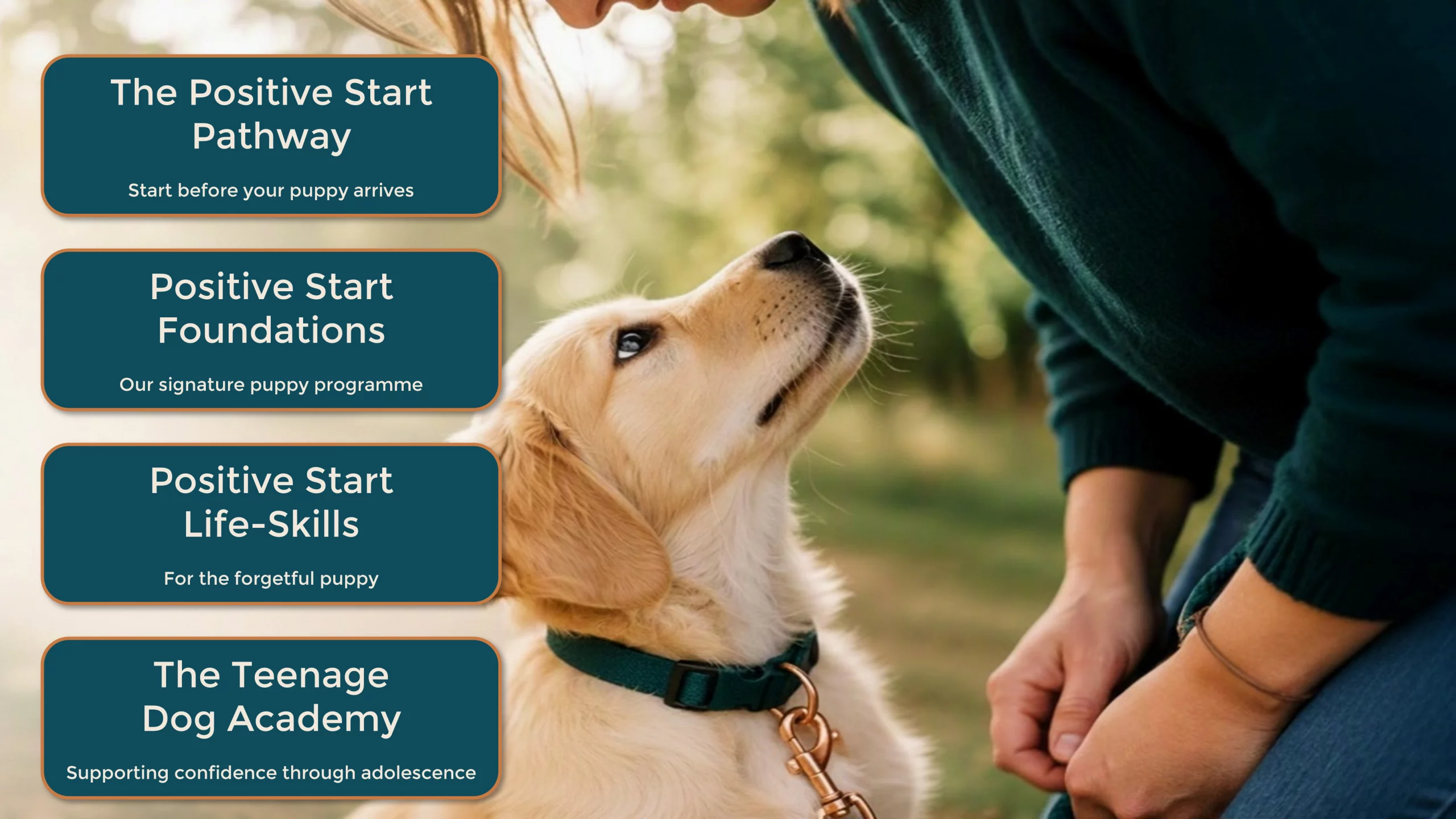 website programme overview